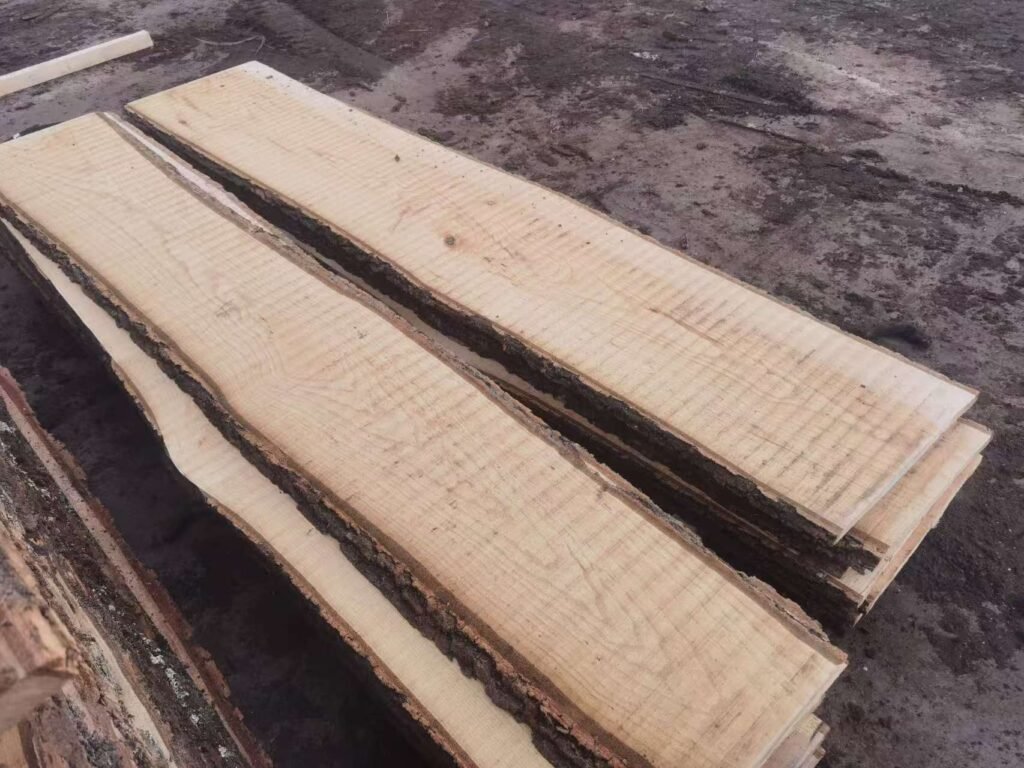 image 20251210014241 2 2